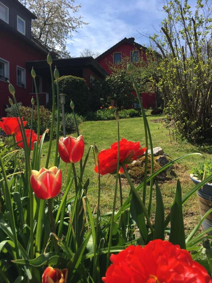 Ferienwohnung Auenthal Koditz Exterior foto
